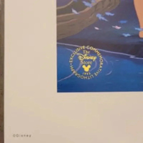 Y2K Vintage 1995 Pocahontas Exclusive commemorative Lithograph - Picture 2 of 4